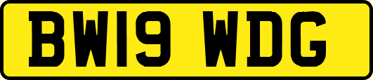 BW19WDG
