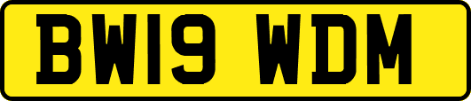 BW19WDM