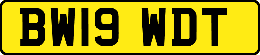 BW19WDT