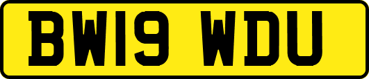 BW19WDU