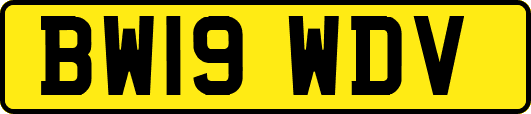 BW19WDV