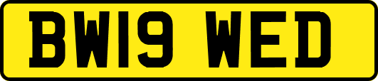 BW19WED