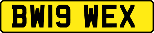 BW19WEX