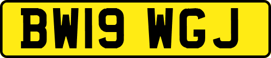 BW19WGJ