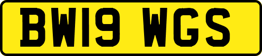 BW19WGS
