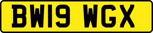 BW19WGX