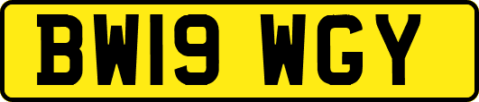 BW19WGY
