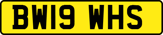 BW19WHS