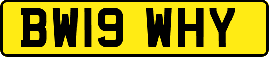 BW19WHY