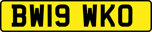 BW19WKO