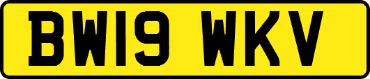 BW19WKV