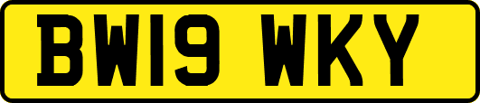 BW19WKY