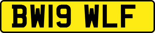 BW19WLF