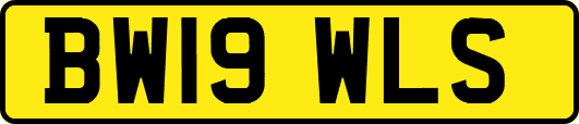 BW19WLS