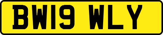 BW19WLY