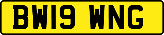 BW19WNG