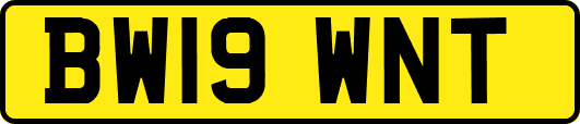 BW19WNT