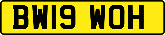 BW19WOH