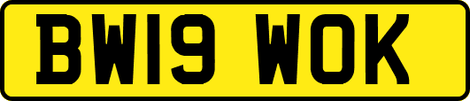 BW19WOK