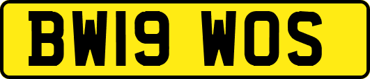 BW19WOS
