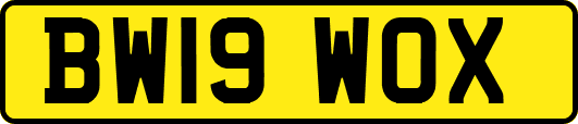 BW19WOX