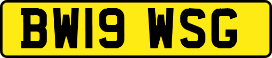 BW19WSG