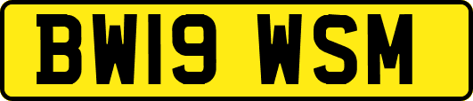 BW19WSM