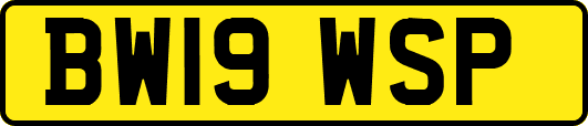 BW19WSP