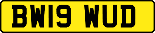 BW19WUD