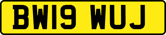 BW19WUJ