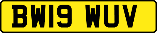 BW19WUV