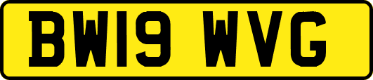 BW19WVG
