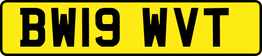 BW19WVT