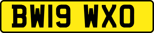 BW19WXO