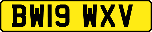 BW19WXV