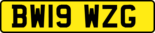 BW19WZG