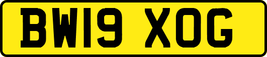 BW19XOG
