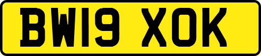 BW19XOK