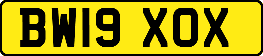 BW19XOX
