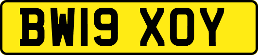 BW19XOY