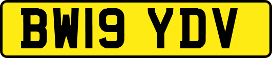 BW19YDV