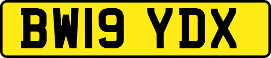 BW19YDX