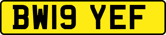 BW19YEF