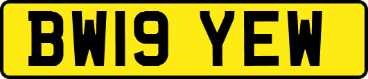 BW19YEW