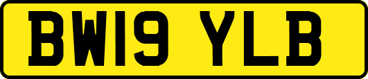 BW19YLB