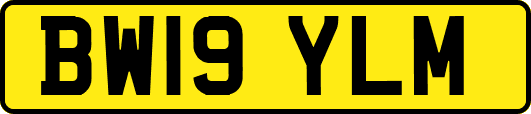 BW19YLM