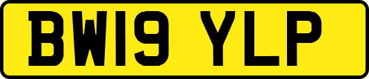 BW19YLP