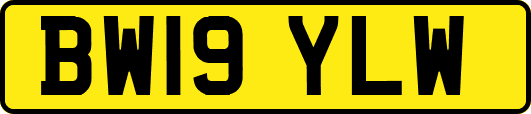 BW19YLW