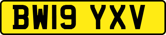 BW19YXV