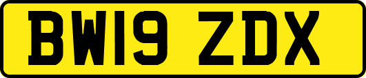 BW19ZDX